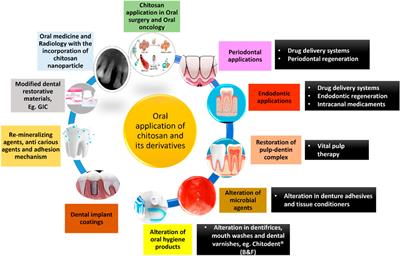 Chitosan nanoparticle applications in dentistry: a sustainable biopolymer